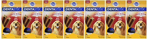PEDIGREE DENTASTIX Large Dog Dental Treats Beef Flavor Dental Bones, 7 Count (Pack of 7)