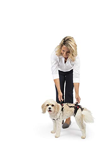 Full Body Lifting Aid with Handle - Great for Pet Mobility and Older Dogs to Help Them Up - Comfortable, Breathable Material - Easy to Adjust - Small