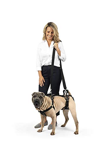 PetSafe CareLift Support Harness - Full Body Lifting Aid with Handle & Shoulder Strap - Great for Pet Mobility & Older Dogs to Help Them Up - Comfortable, Breathable Material - Easy to Adjust - Medium