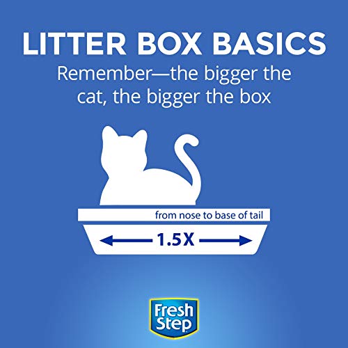 Fresh Step Odor Shield Scented Litter with The Power of Febreze, Clumping Cat Litter - 14 lbs