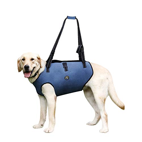 Coodeo Dog Lift Harness, Pet Support & Rehabilitation Sling Lift Adjustable Padded Breathable Straps for Old, Disabled, Joint Injuries, Arthritis, Loss of Stability Dogs Walk (Middle)