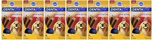 PEDIGREE DENTASTIX Large Dog Dental Treats Beef Flavor Dental Bones, 7 Count (Pack of 7)