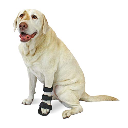 XXS Walkin' Pet Splint for Dogs | Front Leg Foot Splint for Dogs with Arthritis and Injuries