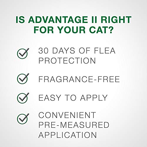 Advantage II 2-Dose Flea Prevention and Treatment for Large Cats, Over 9 Pounds