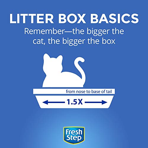 Fresh Step Extreme Scented Litter with the Power of Febreze, Clumping Cat Litter Mountain Spring, 14 Pounds (Package May Vary)