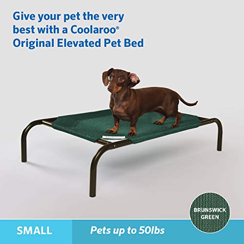 Coolaroo The Original Cooling Elevated Pet Bed, Raised Breathable Washable Indoor and Outdoor Pet Cot, Small, Brunswick Green