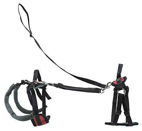 Full Body Lifting Aid with Handle - Great for Pet Mobility and Older Dogs to Help Them Up - Comfortable, Breathable Material - Easy to Adjust - Small