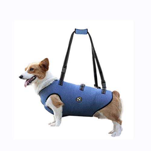 Coodeo Dog Lift Harness, Pet Support & Rehabilitation Sling Lift Adjustable Padded Breathable Straps for Old, Disabled, Joint Injuries, Arthritis, Loss of Stability Dogs Walk (Small)