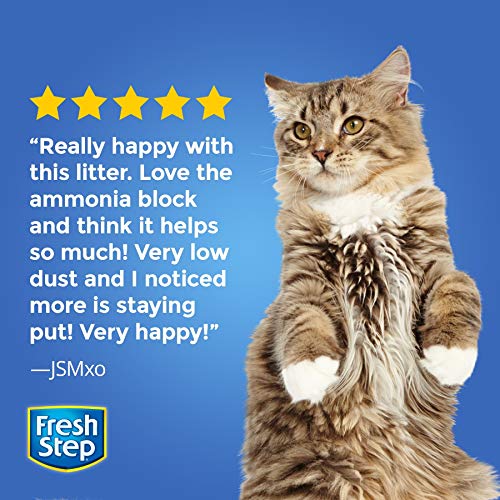 Fresh Step Odor Shield Scented Litter with The Power of Febreze, Clumping Cat Litter - 14 lbs