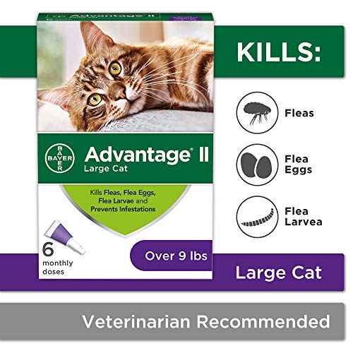 Advantage II 6-Dose Large Cat Flea Prevention, Flea Prevention for Cats, Over 9 Pounds