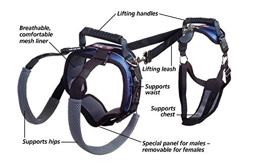 PetSafe CareLift Support Harness - Full Body Lifting Aid with Handle & Shoulder Strap - Great for Pet Mobility & Older Dogs to Help Them Up - Comfortable, Breathable Material - Easy to Adjust - Large