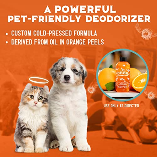 ANGRY ORANGE Pet Odor Eliminator for Home - 8oz Dog & Cat Urine Smell Remover - Citrus Concentrate - Makes a Gallon (128 oz)