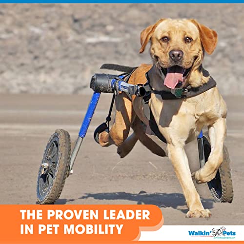 21-22" Leg Walkin' Wheels Dog Wheelchair - for Large Dogs 70-180 Pounds - Veterinarian Approved - Dog Wheelchair for Back Legs