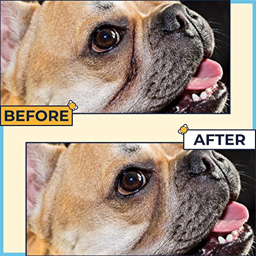 Bulldog Care (Pack of 3)-Wrinkle Cream+Silver Honey Skin Soother+Paw & Nose Balm-Manuka Honey Hot Spot Treatment for English & French Bulldogs-Bulldog Skin Relief & Bulldog Itch Relief-Dog Paw Balm