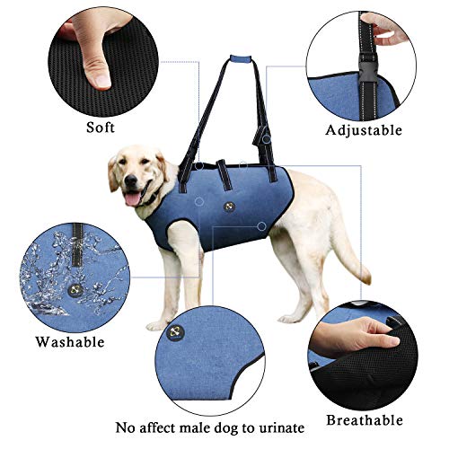 Coodeo Dog Lift Harness, Pet Support & Rehabilitation Sling Lift Adjustable Padded Breathable Straps for Old, Disabled, Joint Injuries, Arthritis, Loss of Stability Dogs Walk (Small)