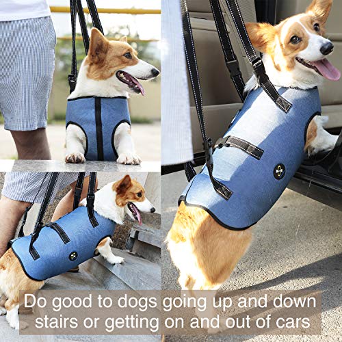 Coodeo Dog Lift Harness, Pet Support & Rehabilitation Sling Lift Adjustable Padded Breathable Straps for Old, Disabled, Joint Injuries, Arthritis, Loss of Stability Dogs Walk (Small)