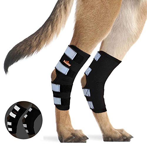 NeoAlly Pair Dog Rear Leg Brace Canine Rear Hock Joint Support with Safety Reflective Straps for Joint Injury and Sprain Protection, Wound Healing and Loss of Stability from Arthritis (XS Pair)