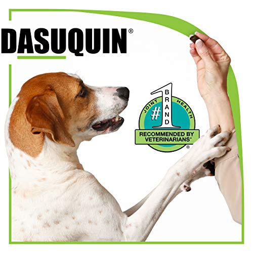 Nutramax Dasuquin with MSM Joint Health Supplement for Large Dogs - With Glucosamine, MSM, Chondroitin, ASU, Boswellia Serrata Extract, and Green Tea Extract, 84 Soft Chews