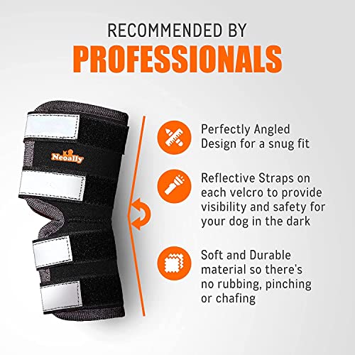 NeoAlly Pair Dog Rear Leg Brace Canine Rear Hock Joint Support with Safety Reflective Straps for Joint Injury and Sprain Protection, Wound Healing and Loss of Stability from Arthritis (XS Pair)