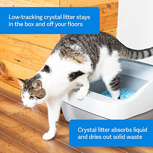 PetSafe ScoopFree Premium Crystal Non-Clumping Cat Litter - Fresh, Low-Tracking Odor Control - 2-Pack Refills, 4.5 lb per Pack (9 lb Total) - Original Blue