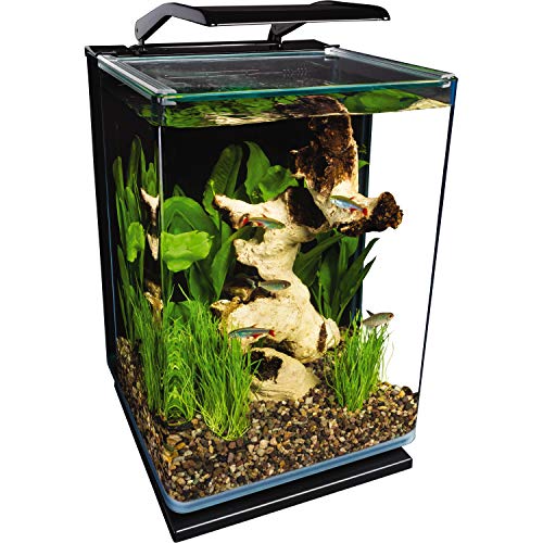 Marineland Portrait Glass LED Aquarium Kit, 5 Gallons, Hidden Filtration