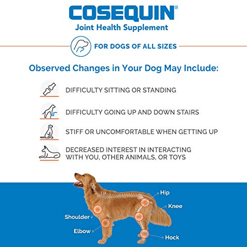 Nutramax Cosequin Maximum Strength Joint Health Supplement for Dogs - With Glucosamine, Chondroitin, and MSM, 60 Chewable Tablets