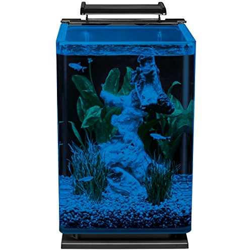 Marineland Portrait Glass LED Aquarium Kit, 5 Gallons, Hidden Filtration