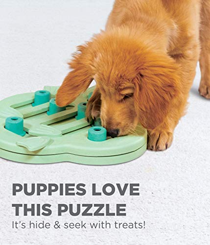 Nina Ottosson by Outward Hound Puppy Hide N' Slide Green Interactive Treat Puzzle Dog Toy