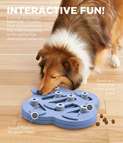 Nina Ottosson by Outward Hound Dog Hide N' Slide Purple Interactive Treat Puzzle Dog Toy