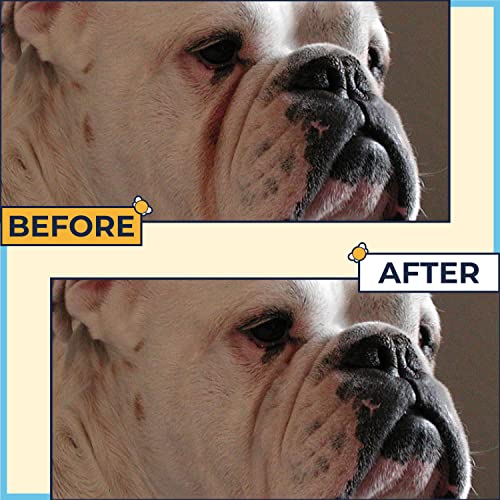 Bulldog Care (Pack of 3)-Wrinkle Cream+Silver Honey Skin Soother+Paw & Nose Balm-Manuka Honey Hot Spot Treatment for English & French Bulldogs-Bulldog Skin Relief & Bulldog Itch Relief-Dog Paw Balm