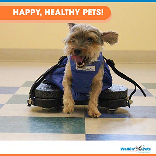 Scooter for Rear Legs | Indoor Dog Wheelchair Alternative for Paralyzed Pets | Protects Chest and Limbs | Durable Nylon | Breathable and Comfortable