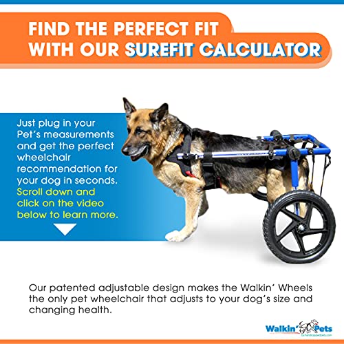 21-22" Leg Walkin' Wheels Dog Wheelchair - for Large Dogs 70-180 Pounds - Veterinarian Approved - Dog Wheelchair for Back Legs