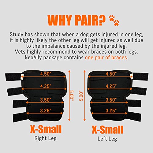 NeoAlly Pair Dog Rear Leg Brace Canine Rear Hock Joint Support with Safety Reflective Straps for Joint Injury and Sprain Protection, Wound Healing and Loss of Stability from Arthritis (XS Pair)