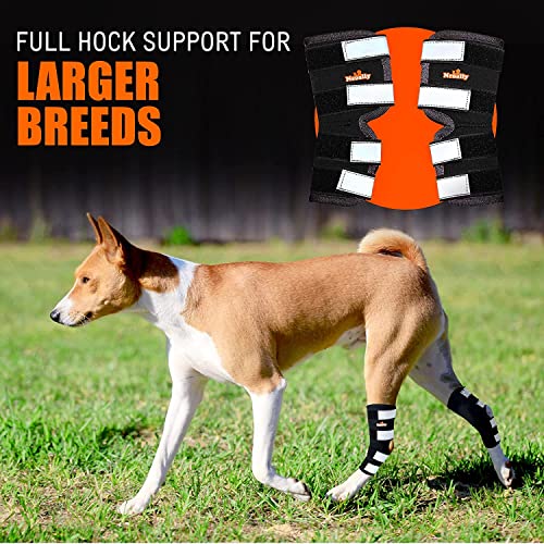 NeoAlly Pair Dog Rear Leg Brace Canine Rear Hock Joint Support with Safety Reflective Straps for Joint Injury and Sprain Protection, Wound Healing and Loss of Stability from Arthritis (XS Pair)