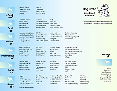 MidWest Homes for Pets Newly Enhanced Single & Double Door iCrate Dog Crate, Includes Leak-Proof Pan, Floor Protecting Feet, Divider Panel & New Patented Features