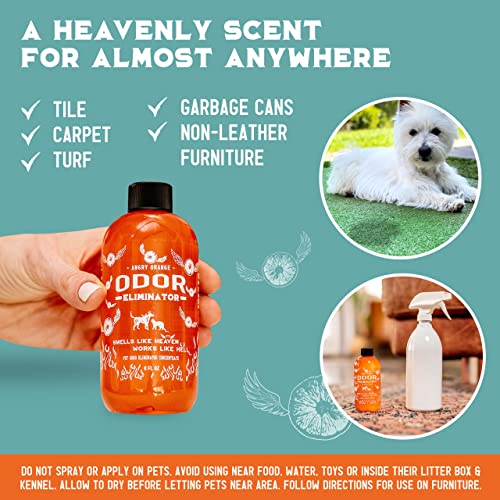 ANGRY ORANGE Pet Odor Eliminator for Home - 8oz Dog & Cat Urine Smell Remover - Citrus Concentrate - Makes a Gallon (128 oz)