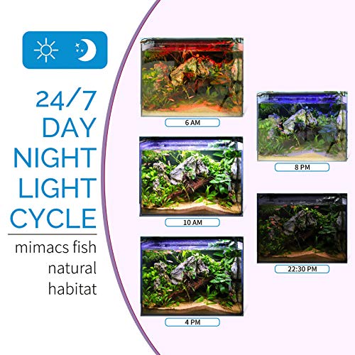 hygger Advanced Full Spectrum LED Aquarium Light with 24/7 Lighting Cycle 6 Colors 5 Intensity Customize Fish Tank Light for 48-54 in Freshwater Planted Tank with Timer