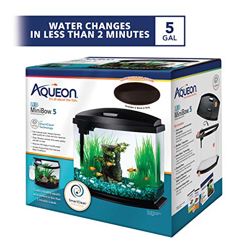 Aqueon LED MiniBow Small Aquarium Fish Tank Kit with SmartClean Technology, Black, 5 Gallon