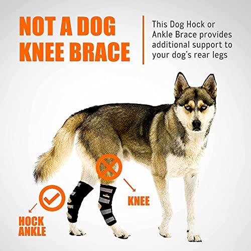 NeoAlly Pair Dog Rear Leg Brace Canine Rear Hock Joint Support with Safety Reflective Straps for Joint Injury and Sprain Protection, Wound Healing and Loss of Stability from Arthritis (M Pair)