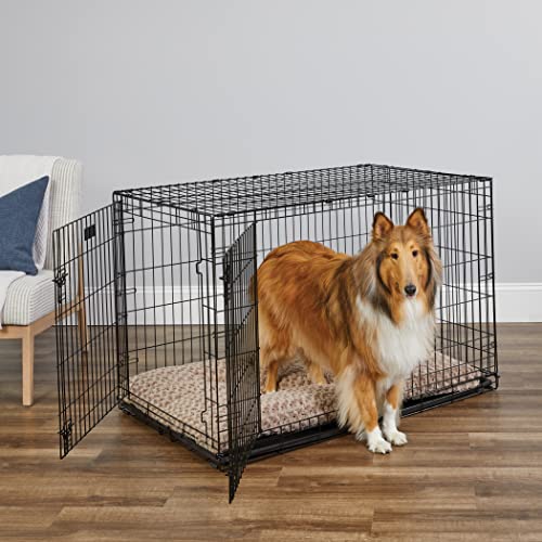 MidWest Homes for Pets Newly Enhanced Single & Double Door iCrate Dog Crate, Includes Leak-Proof Pan, Floor Protecting Feet, Divider Panel & New Patented Features