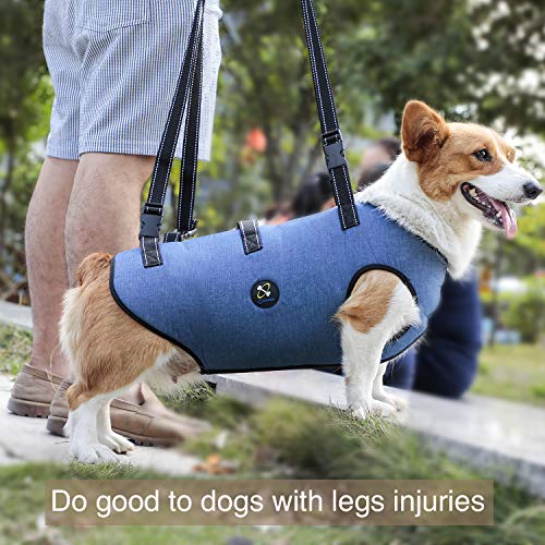 Coodeo Dog Lift Harness, Pet Support & Rehabilitation Sling Lift Adjustable Padded Breathable Straps for Old, Disabled, Joint Injuries, Arthritis, Loss of Stability Dogs Walk (Small)