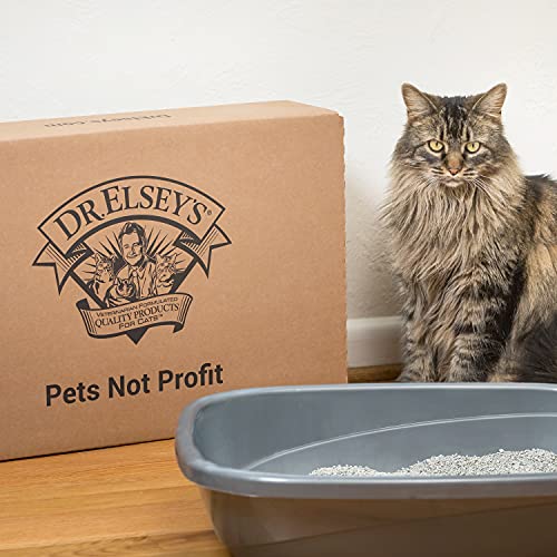 Dr. Elsey's Premium Clumping Cat Litter | Ultra Scented | 99.9% Dust-Free, Low Tracking, Hard Clumping, Superior Odor Control, Natural Ingredients & Moisture-Activated Scent