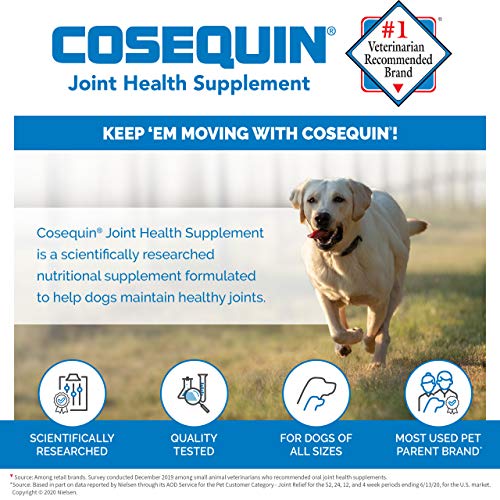 Nutramax Cosequin Maximum Strength Joint Health Supplement for Dogs - With Glucosamine, Chondroitin, and MSM, 250 Chewable Tablets