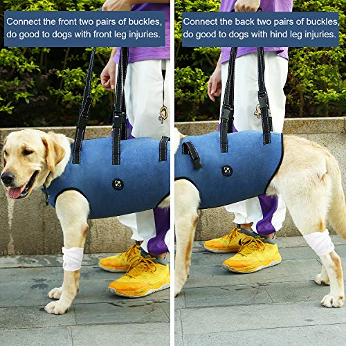 Coodeo Dog Lift Harness, Pet Support & Rehabilitation Sling Lift Adjustable Padded Breathable Straps for Old, Disabled, Joint Injuries, Arthritis, Loss of Stability Dogs Walk (Middle)